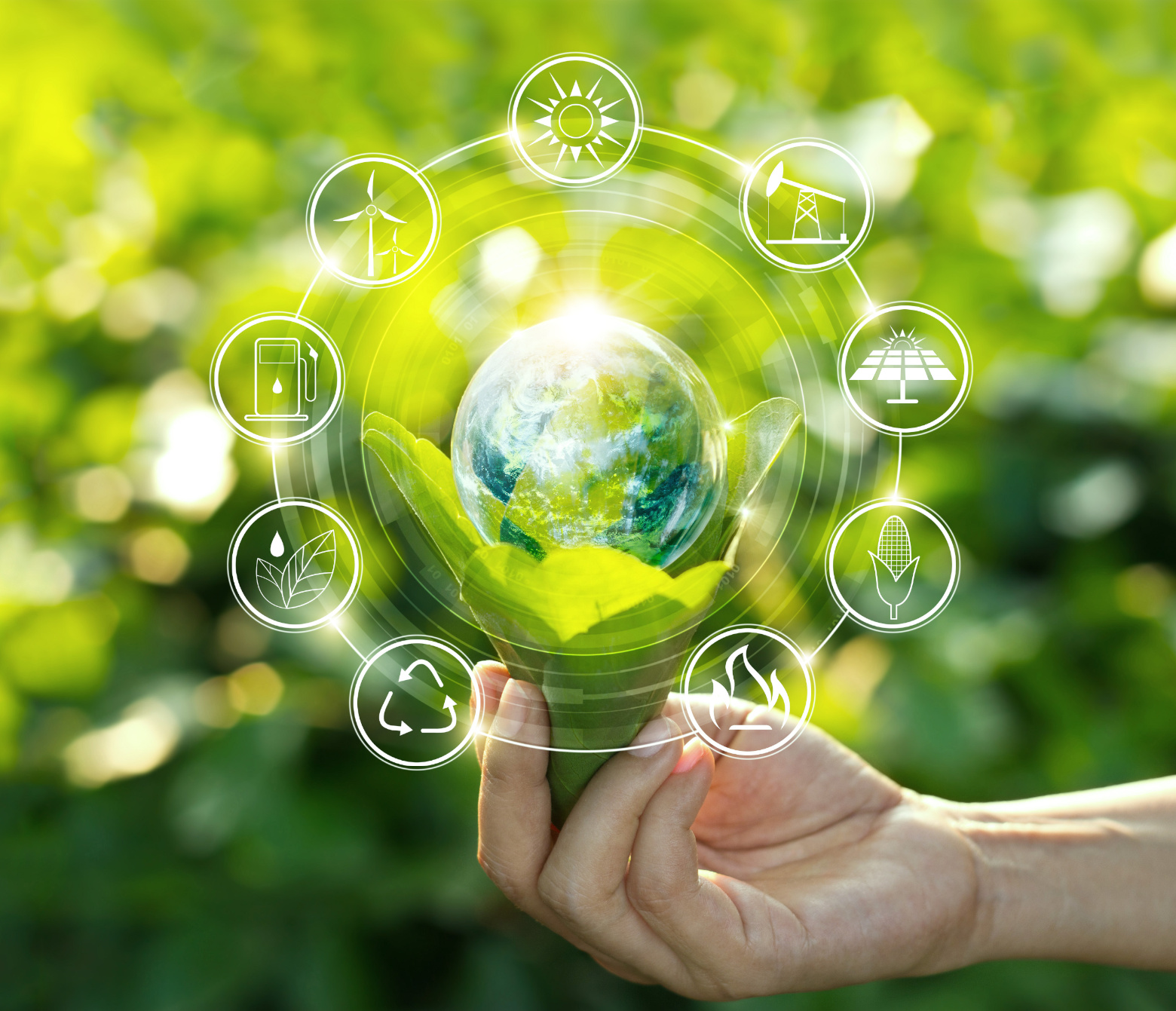 A European Green Deal 